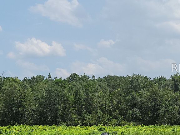 3rd image of Toomerville Loop