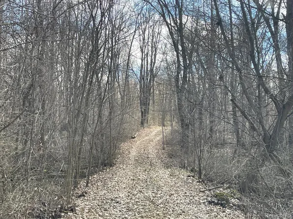 0 Lobdell Rd, Fenton, MI 48430