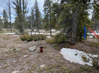 Busch Run Platte Dr, Fairplay, CO 80440