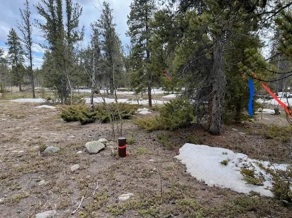 BUSCH RUN Platte Drive, Fairplay, CO 80440