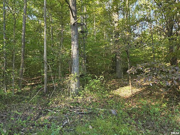 4th image of 19168 County Line Rd