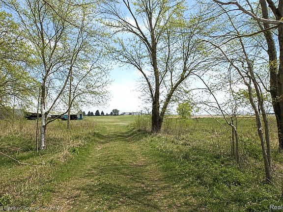 2nd image of Spears Rd