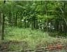 2nd image of 5964 Silver Birch Rd