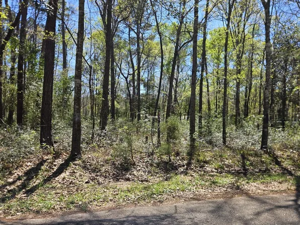 15566 Firewood Dr, Conroe, TX 77303