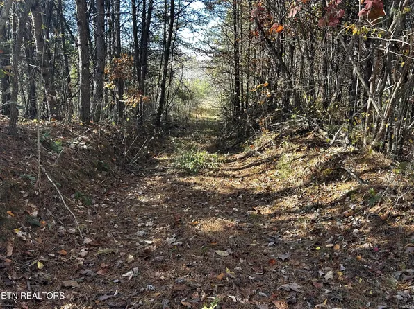0 Shaddon Rd Lot 2, Tellico Plains, TN 37385