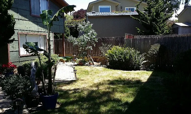481 Hillview St — Photo 1