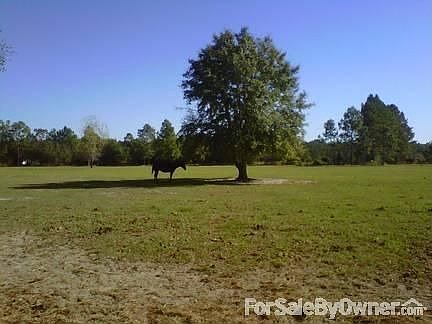 front pasture