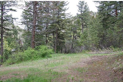 5th image of 181 Jackelope Ln