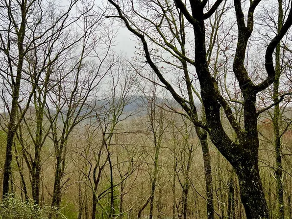 18 Martin Xing, Cherry Log, GA 30522