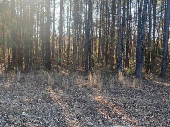 Tbd Bostic Road, Laurinburg, NC 28352