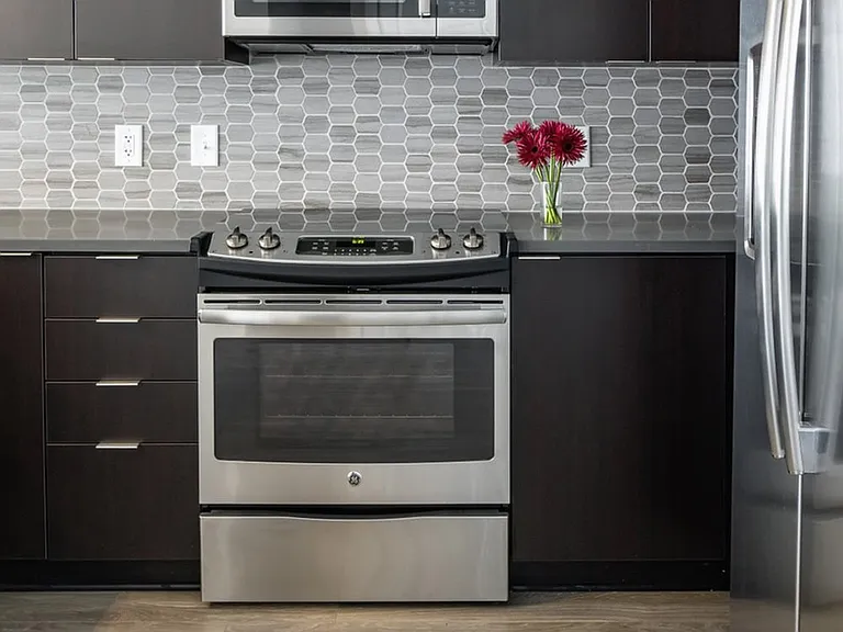 Stainless steel appliances and modern backsplashes