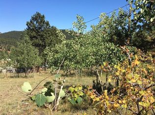 69 Smoky Rock Rd, Bailey, CO 80421