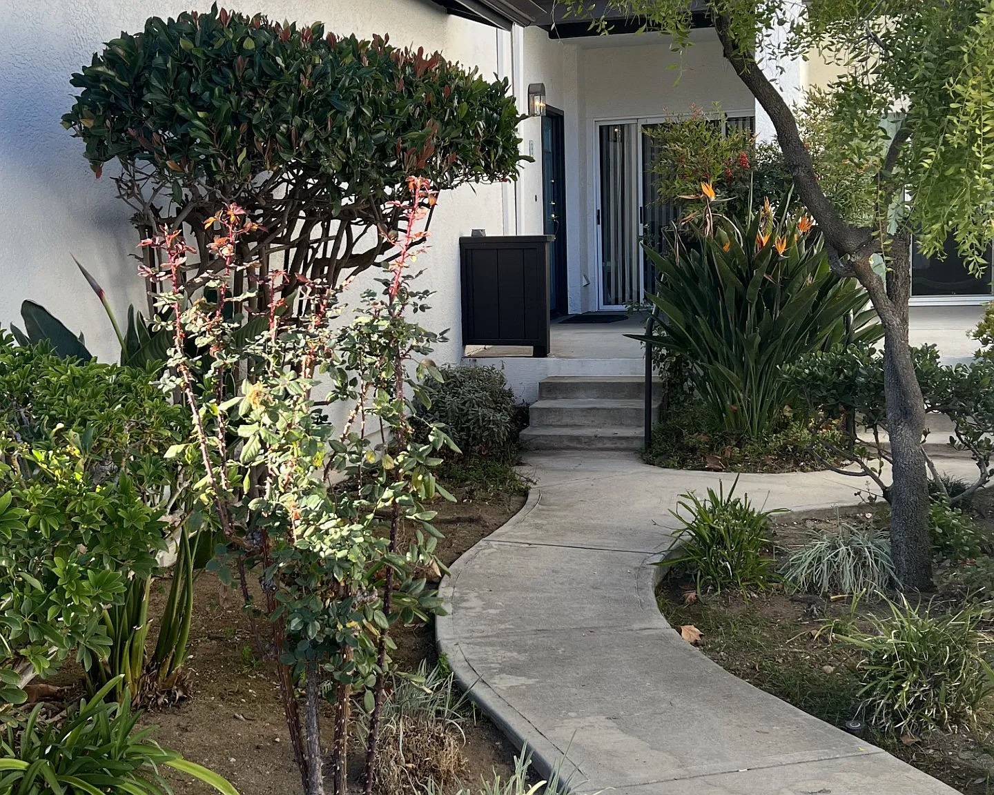 2 bed, 1204 sqft, $4,295 — Photo 1