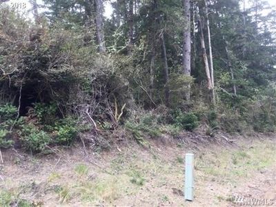 27500 U St, Ocean Park, WA, 98640