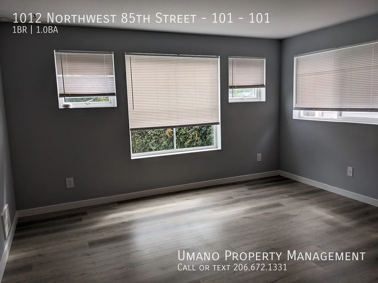 1 bed, 1.0 bath, 587 sqft, $1,595 — Photo 4