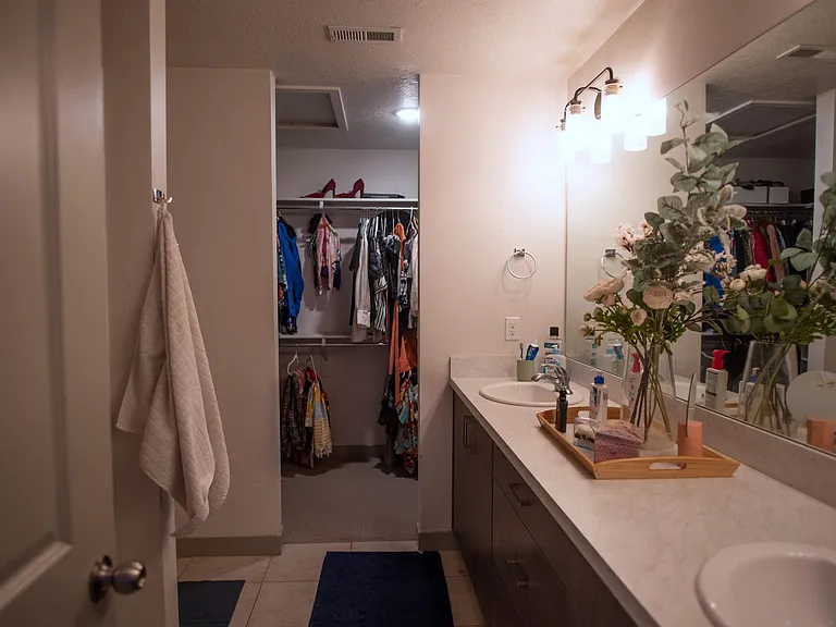 Master bathroom and walk-in closet