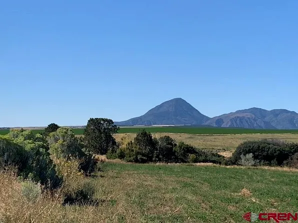 TBD Road U, Yellow Jacket, CO 81335