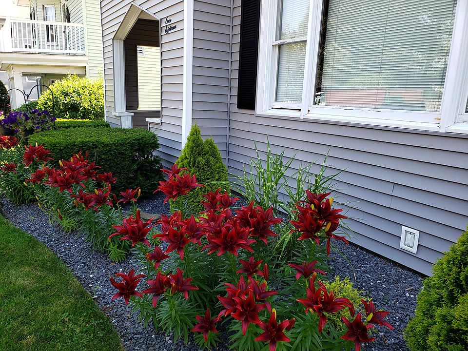 118 Heywood St 2, Worcester, MA 01604 Zillow