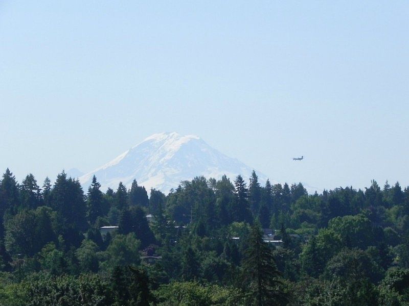 Enjoy the spectacular view of Mount Rainier and watch the planes coming in to SeaTac without any of the noise!