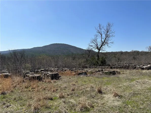 Blue Bonnet Ln, Shady Pt, OK 74956