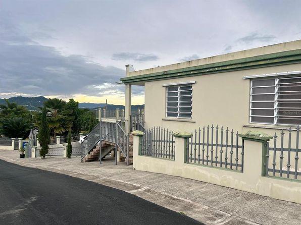 183 Road Bo Cerro Gordo Dm #11.6, San Lorenzo, PR 00754