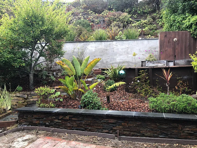 Backyard and hill