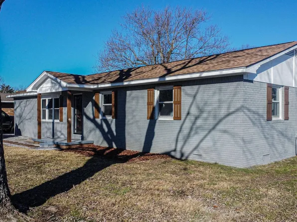 411 Lakeview Dr, Ledbetter, KY 42058