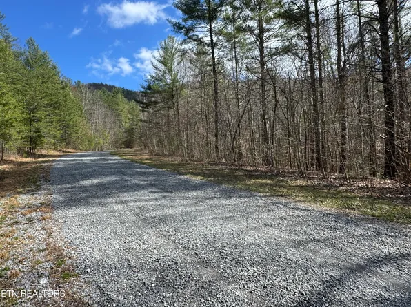 Cougar Trail 10.1, Del Rio, TN 37727