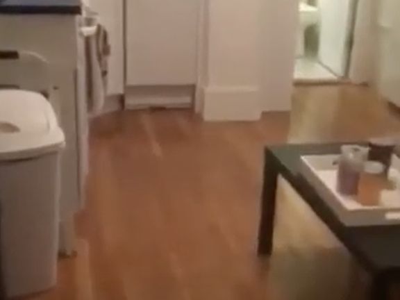 Screen Shot 2022-04-08 at 11.00.32 AM