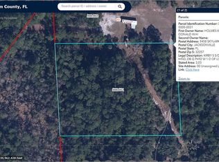 153 Rose Walk Ln, Georgetown, FL 32139