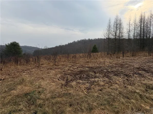 0 County Highway 16, Burlington Flats, NY 13315