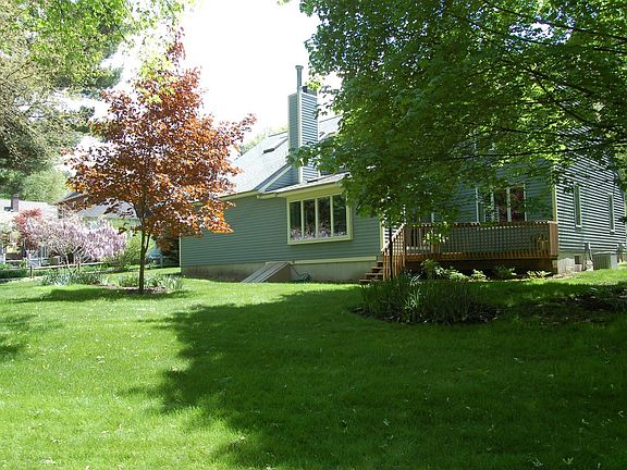 Gorgeous Back Yard