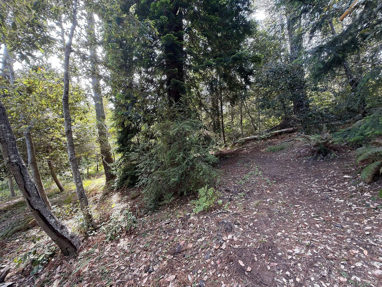 76 Compass Close - Photo 4