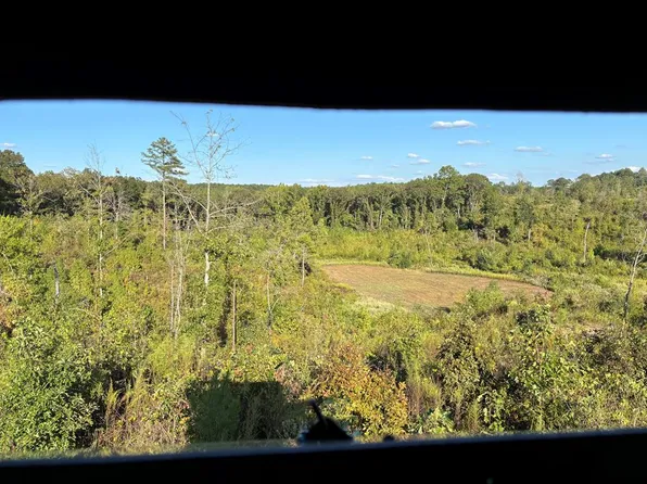 0 County Road 115, Water Valley, MS 38965