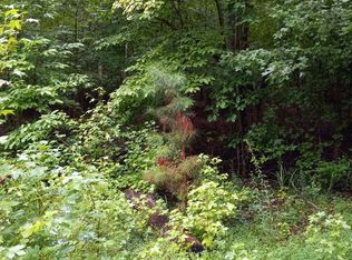 LOT 1399 Focal Ct, Ellijay, GA 30540