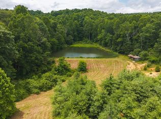 Ferney Creek Rd, Willis, VA 24380