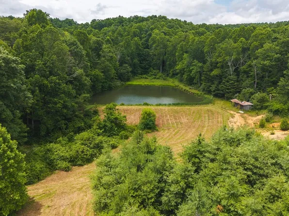 Ferney Creek Rd, Willis, VA 24380