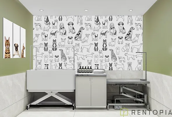 Rented by Rentopia | media 15