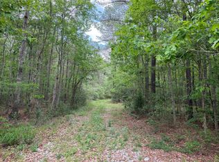 0 Highway 11, Moselle, MS 39459