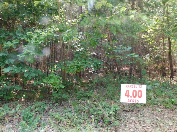 Neals Corner Rd, Clover, VA 24534