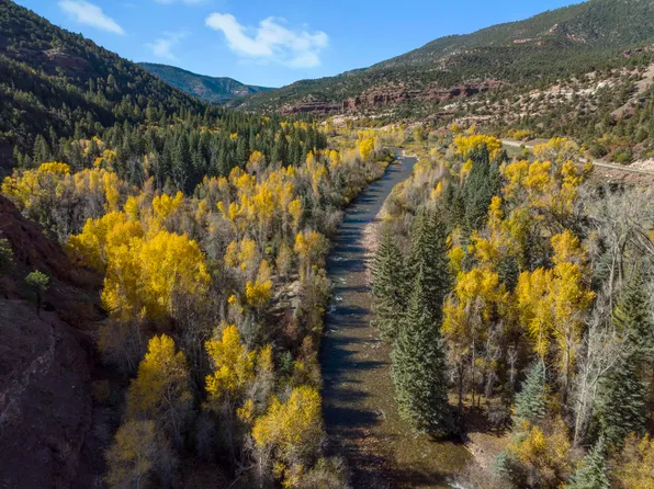 26001 Highway 145, Placerville, CO 81430
