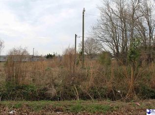 208 Acorn Rd, Latta, SC 29565