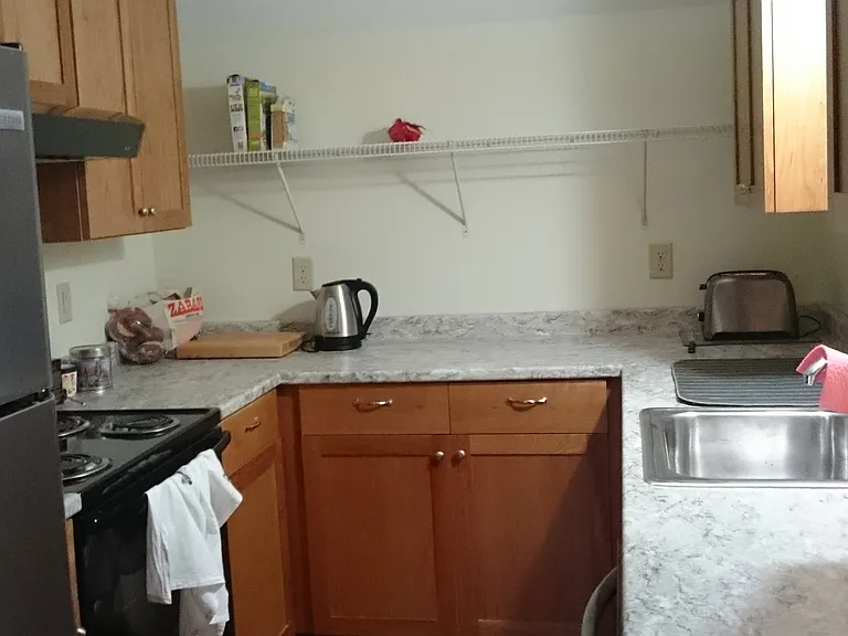 Full kitchen, dishwasher, stove, refrigerator, cabinets and added storage