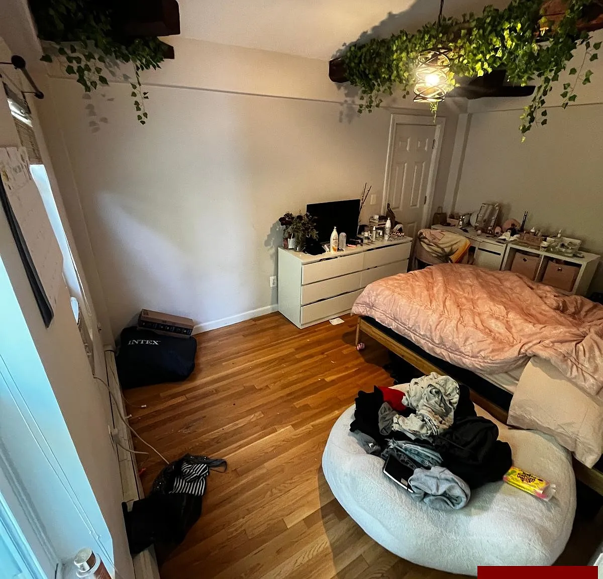 4 bed, 1.0 bath, $4,000 — Photo 3