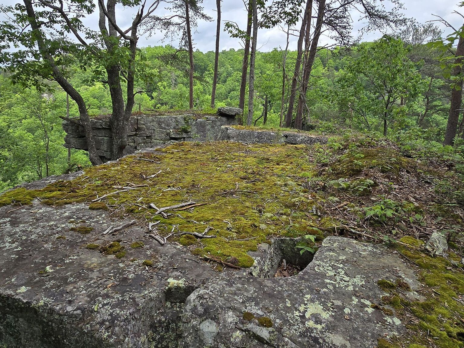 0 Bridal Veil 7, Monteagle, TN 37356 Zillow