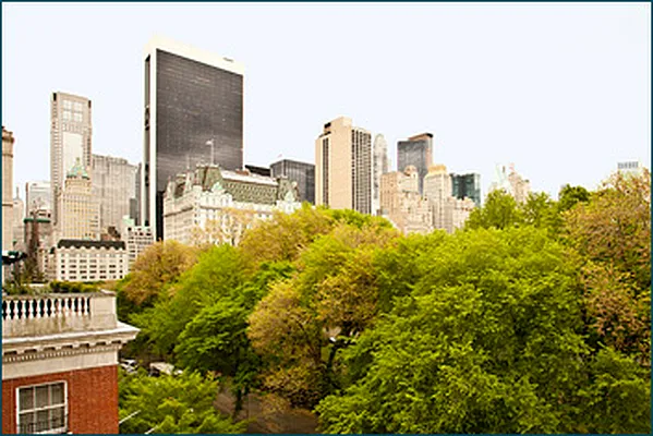 Sold by Brown Harris Stevens | media 9