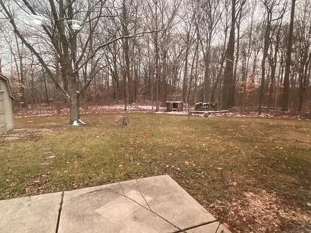 6520 Deep Run Ct — Photo 15