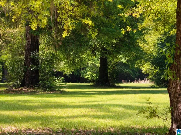 Bel Ru Lndg Lot 17, Prattville, AL 36067