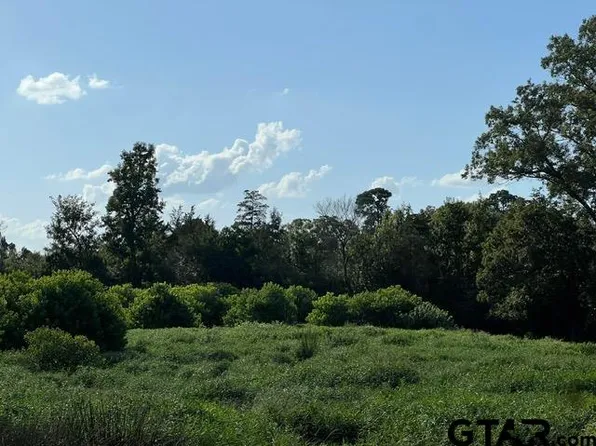 589 Us Highway 84 E, Tenaha, TX 75974