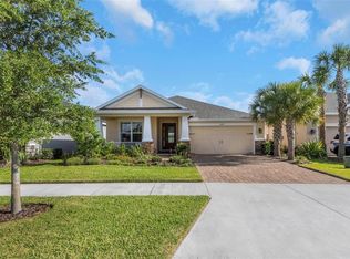 13749 Cannon Dr, Odessa, FL 33556